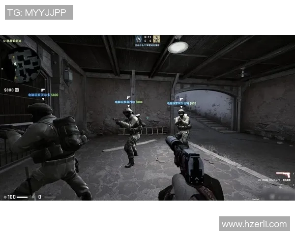 CSGO专题分析：深入探讨WE战队的游戏节奏与战术布局