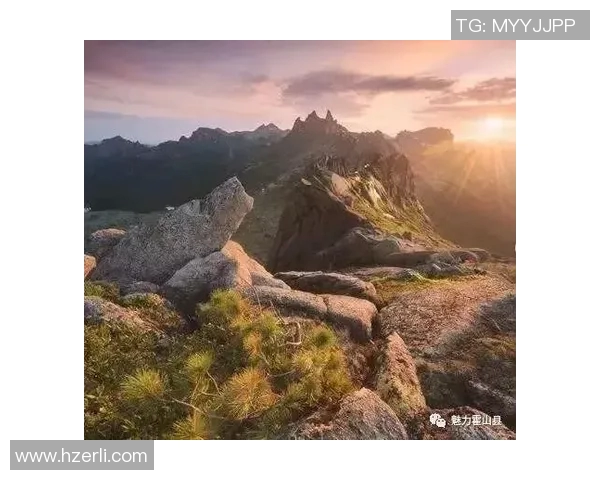 深度对话杨伟谈排球人生的奋斗与梦想之路 深度对话杨伟谈排球人生的奋斗与梦想之路