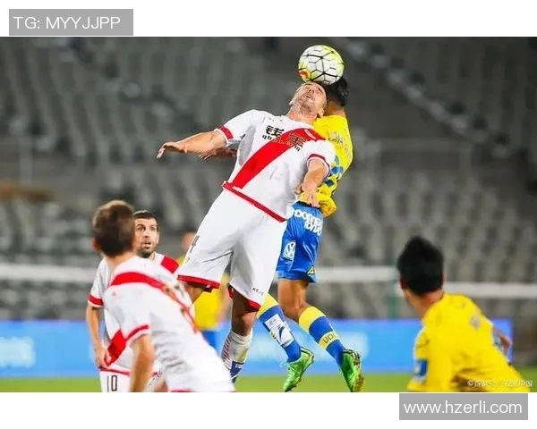 横滨税收与新泻天鹅的对决分析及其影响探讨