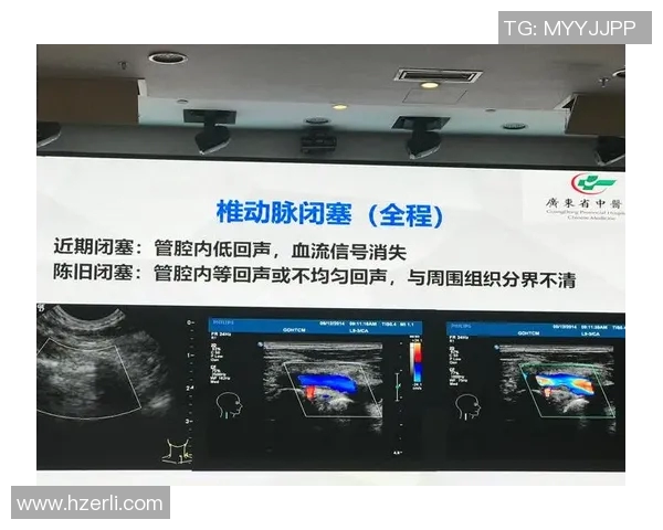 哈肯与哈马比的对决分析及双方近期状态评估