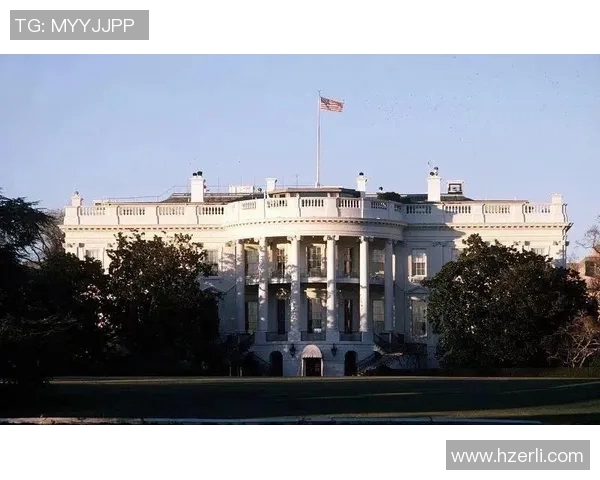 赖斯的领导风格与国际关系的深远影响探讨