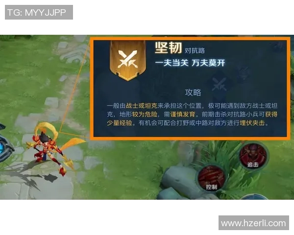 CSGO战术解析：深入探讨JDG战队的游戏节奏与策略运用